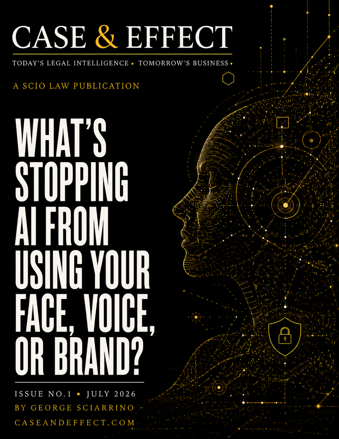 Issue No. 1: The Digital Identity Issue