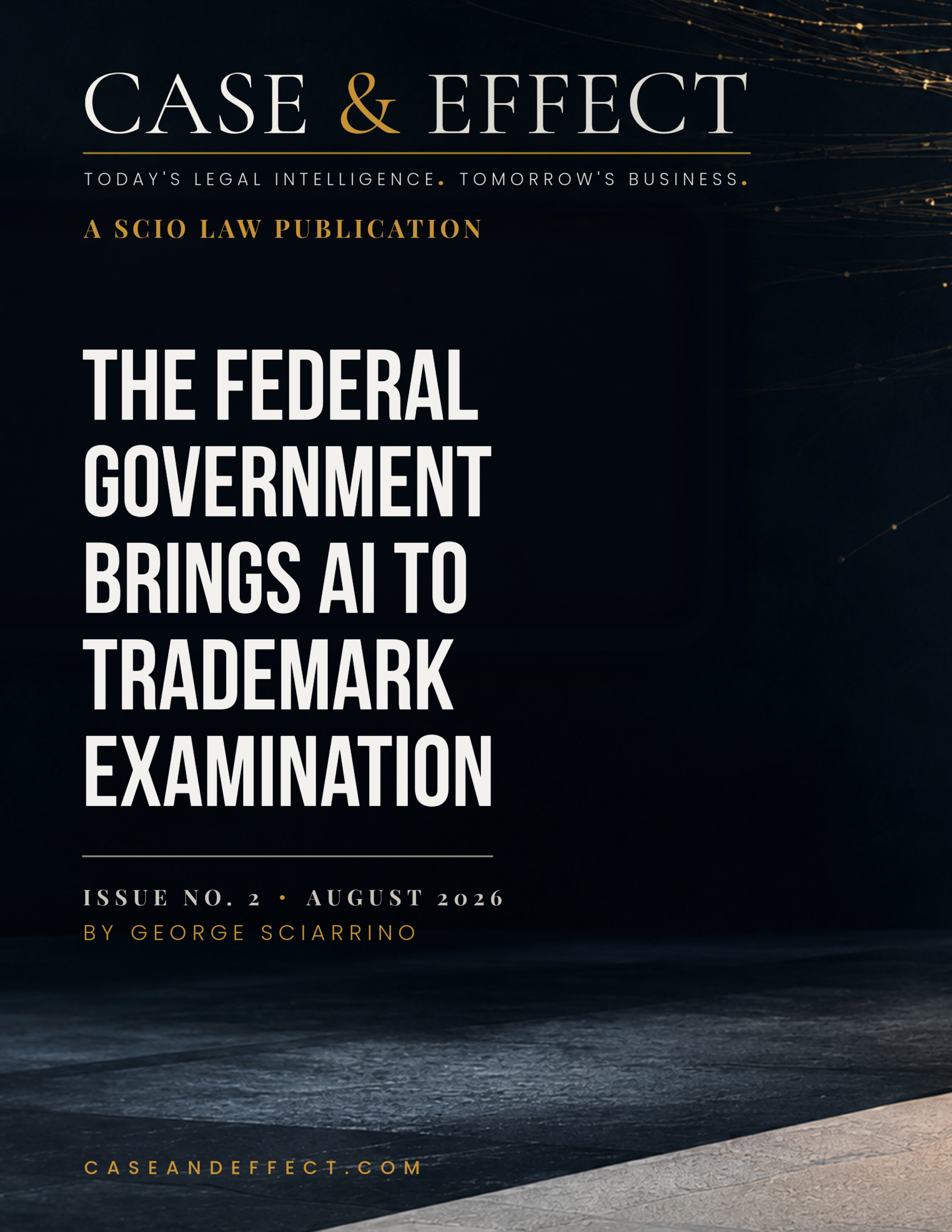 Issue No. 2: The AI in Government Issue